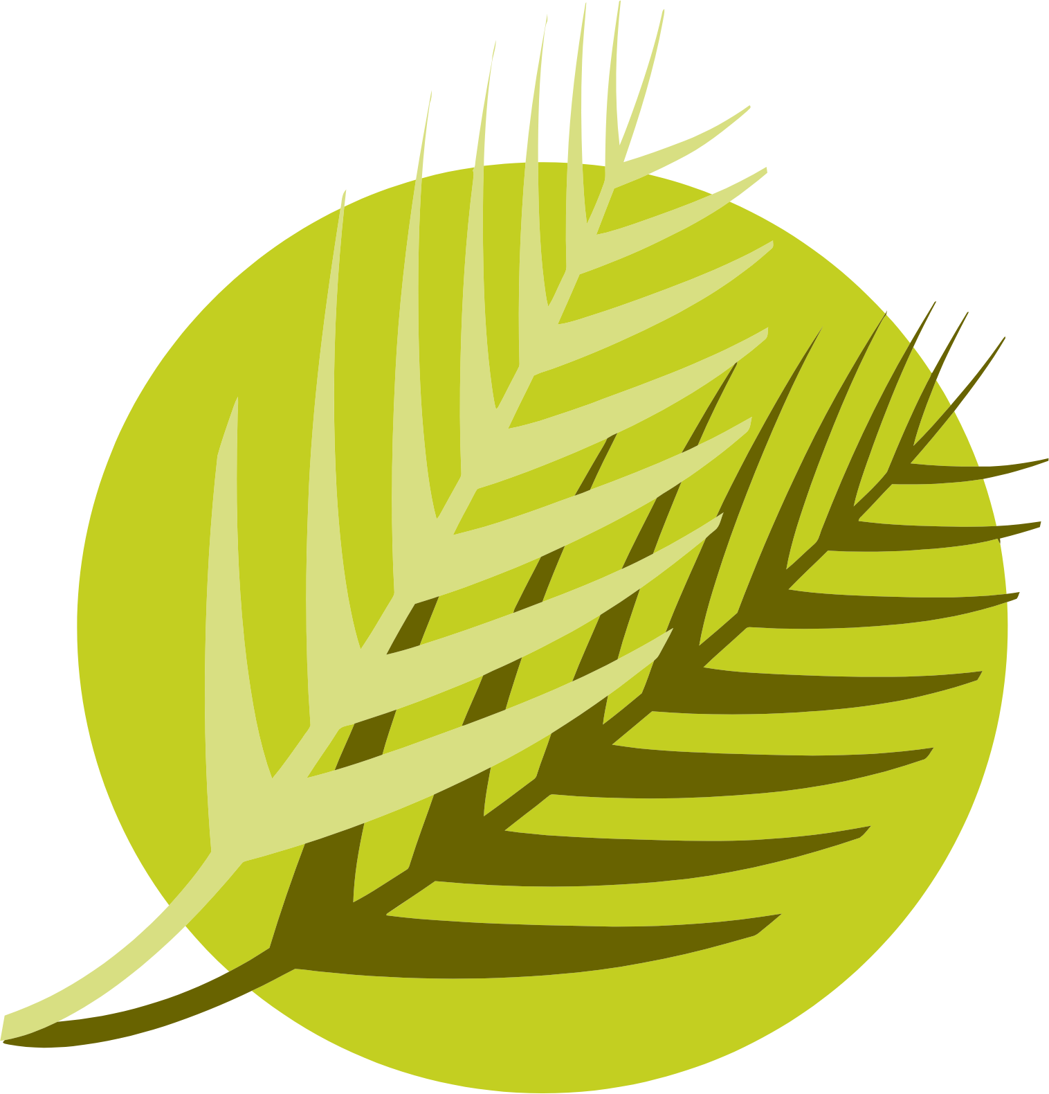 Al Meera Coop logo